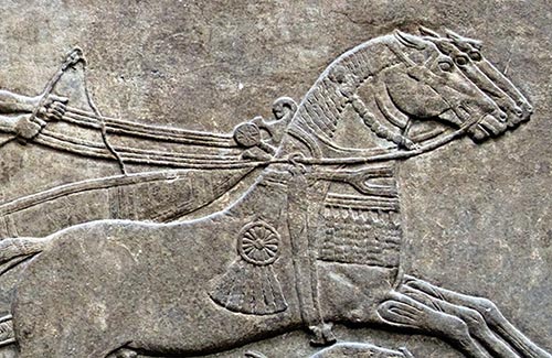 Relief de chevaux assyriens attelés à un char